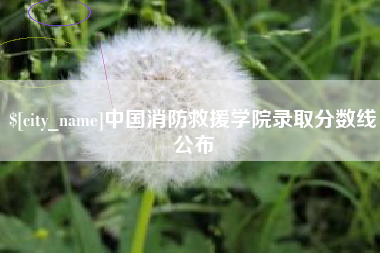 日喀则中国消防救援学院录取分数线公布
