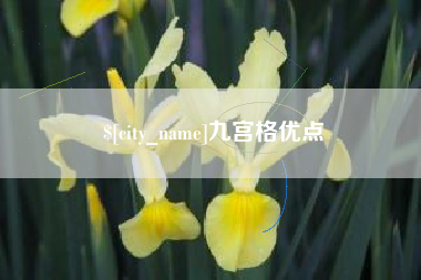 日喀则九宫格优点