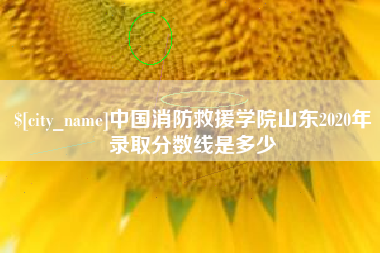 日喀则中国消防救援学院山东2020年录取分数线是多少