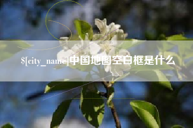 日喀则中国地图空白框是什么