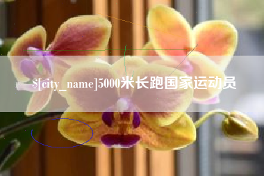 日喀则5000米长跑国家运动员