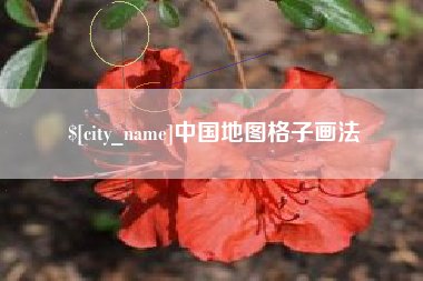 日喀则中国地图格子画法