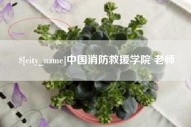 日喀则中国消防救援学院 老师