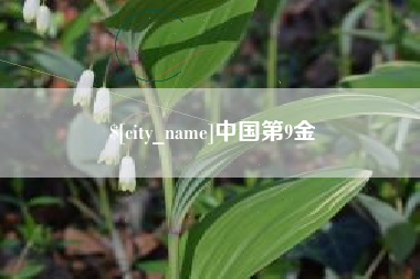 日喀则中国第9金