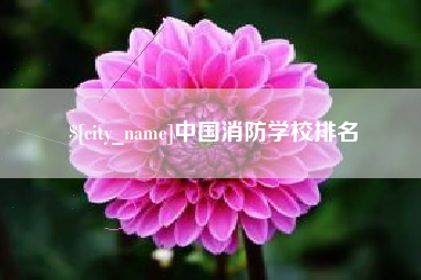 日喀则中国消防学校排名