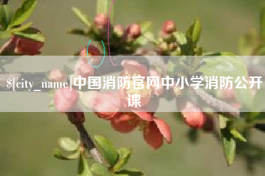 日喀则中国消防官网中小学消防公开课