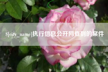 日喀则执行信息公开网查到的案件