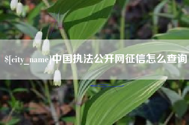 日喀则中国执法公开网征信怎么查询