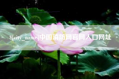 日喀则中国消防网官网入口网址