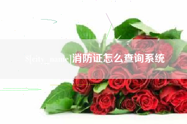 日喀则消防证怎么查询系统