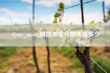 日喀则消防大学分数线是多少