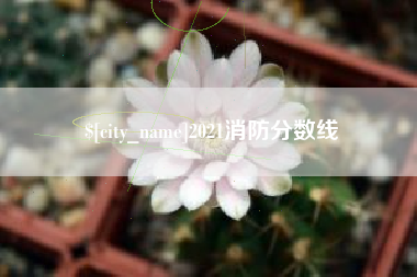 日喀则2021消防分数线