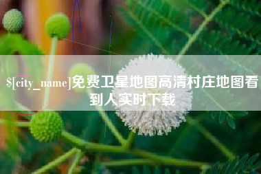 日喀则免费卫星地图高清村庄地图看到人实时下载