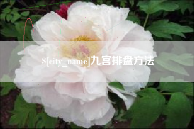 日喀则九宫排盘方法