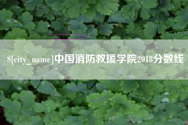 日喀则中国消防救援学院2018分数线