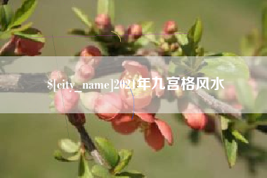日喀则2021年九宫格风水