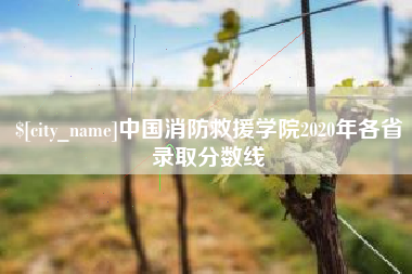 日喀则中国消防救援学院2020年各省录取分数线
