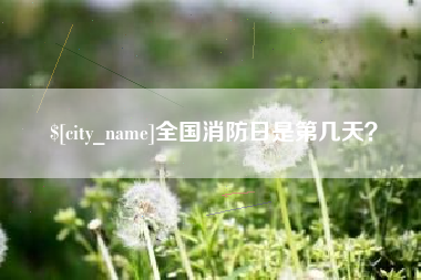 日喀则全国消防日是第几天？