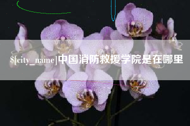 日喀则中国消防救援学院是在哪里
