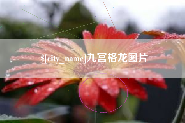 日喀则九宫格龙图片