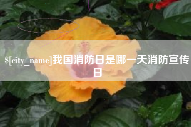 日喀则我国消防日是哪一天消防宣传日