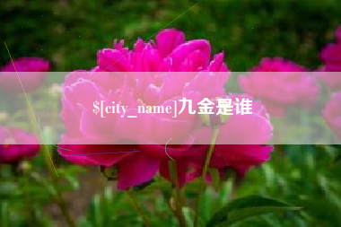 日喀则九金是谁