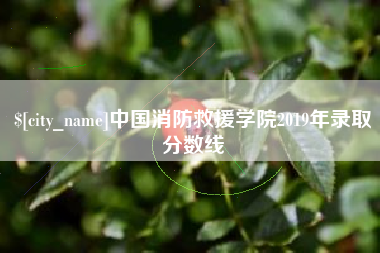 日喀则中国消防救援学院2019年录取分数线