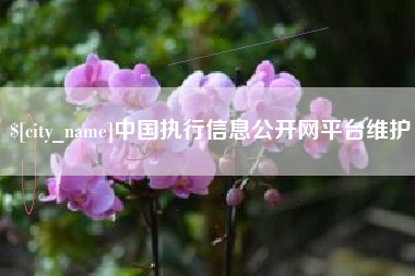 日喀则中国执行信息公开网平台维护