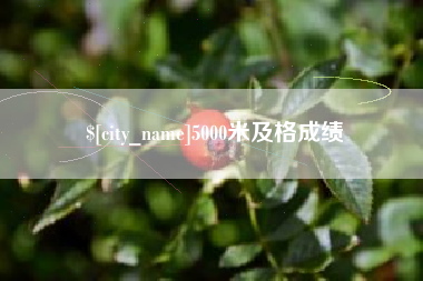 日喀则5000米及格成绩