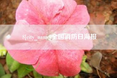 日喀则全国消防日海报