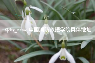 日喀则中国消防救援学院具体地址