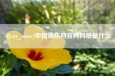 日喀则中国消防网官网网址是什么