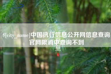 日喀则中国执行信息公开网信息查询官网限消中查询不到
