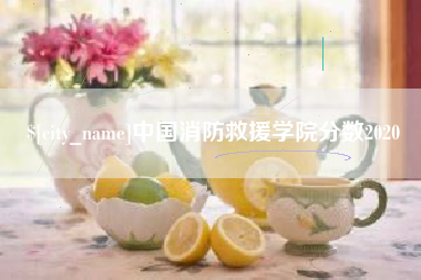 日喀则中国消防救援学院分数2020