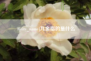 日喀则九金指的是什么