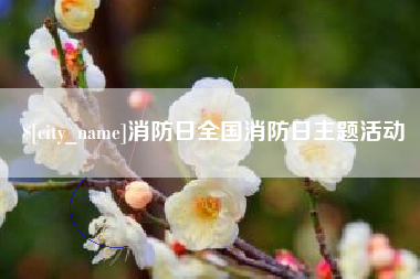 日喀则消防日全国消防日主题活动