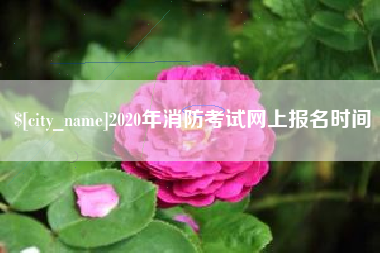 日喀则2020年消防考试网上报名时间