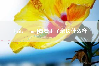 日喀则看看王子豪长什么样