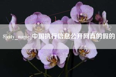 日喀则中国执行信息公开网真的假的
