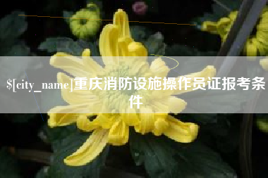 日喀则重庆消防设施操作员证报考条件