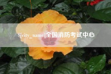 日喀则全国消防考试中心