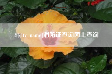 日喀则消防证查询网上查询