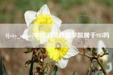 日喀则中国消防救援学院属于985吗