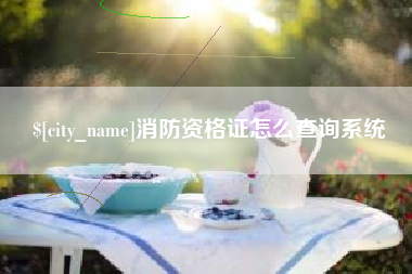 日喀则消防资格证怎么查询系统