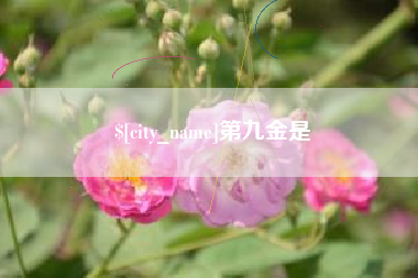 日喀则第九金是
