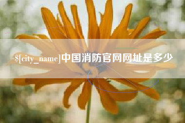 日喀则中国消防官网网址是多少