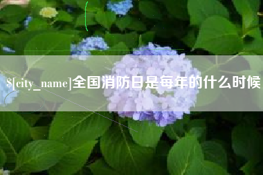 日喀则全国消防日是每年的什么时候