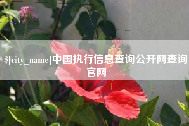 日喀则中国执行信息查询公开网查询官网