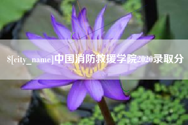 日喀则中国消防救援学院2020录取分