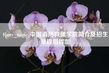 日喀则中国消防救援学院简介及招生章程指挥部